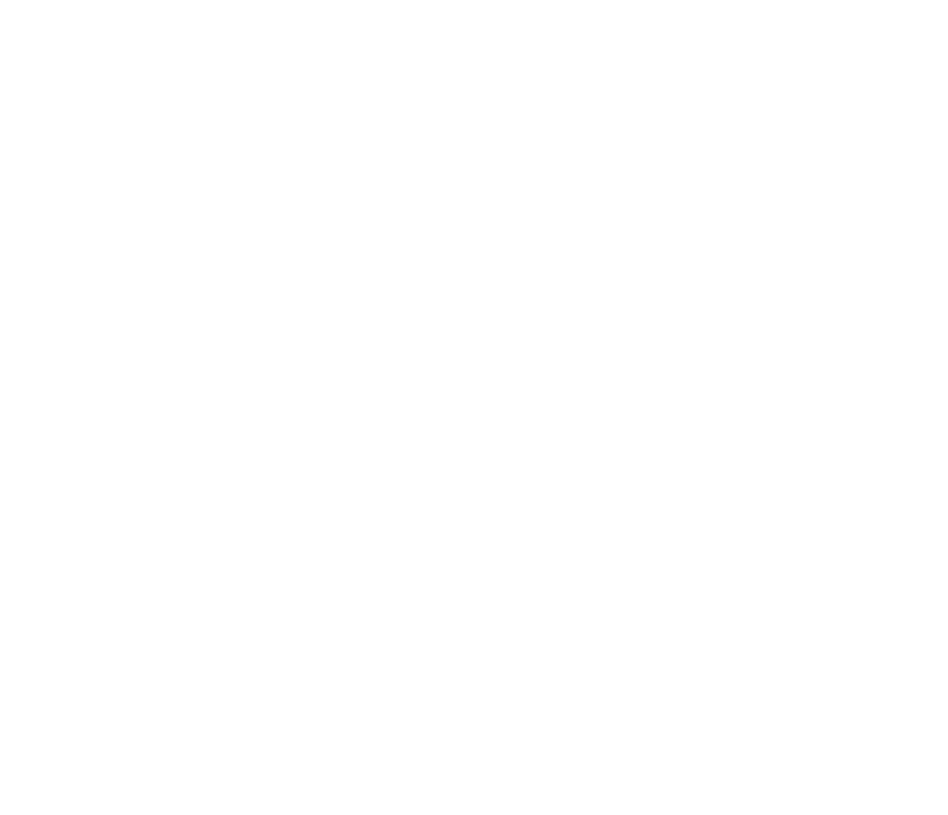 decorative swirl